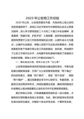 2025年公安局工作总结