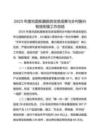 2025年度巩固拓展脱贫攻坚成果与乡村振兴有效衔接工作总结