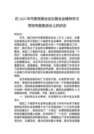 在2025年市委常委会会议暨党的二十届四中全会精神学习贯彻专题推进会上的讲话