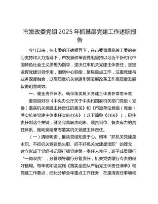 市发改委党组2025年抓基层党建工作述职报告