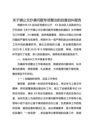 关于镇公文抄袭问题专项整治的自查自纠报告2