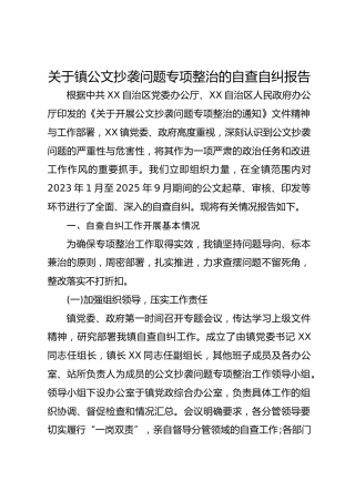 关于镇公文抄袭问题专项整治的自查自纠报告1