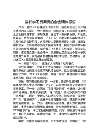 县长学习贯彻党的二十届四中全会精神感悟