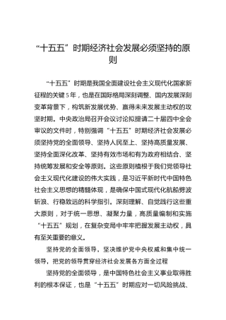 “十五五”时期经济社会发展必须坚持的原则