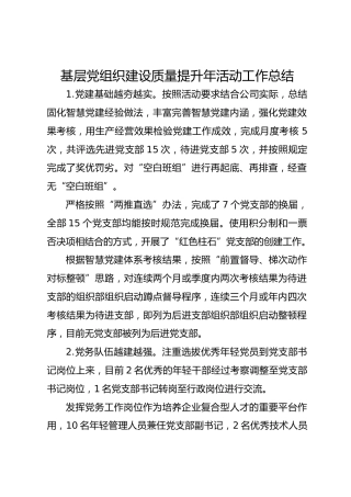 基层党组织建设质量提升年活动工作总结