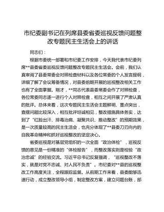 市纪委副书记在列席县委省委巡视反馈问题整改专题民主生活会上的讲话