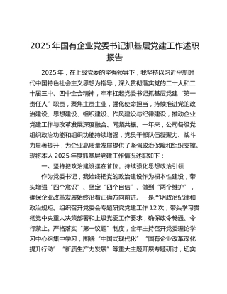 2025年国有企业党委书记抓基层党建工作述职报告（2）