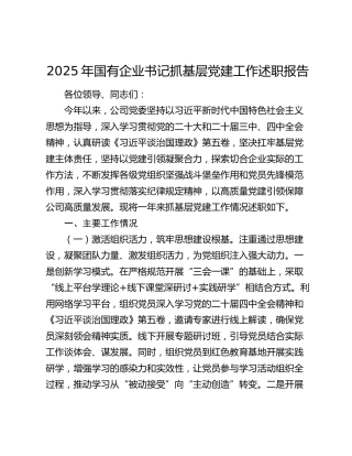 2025年国有企业书记抓基层党建工作述职报告