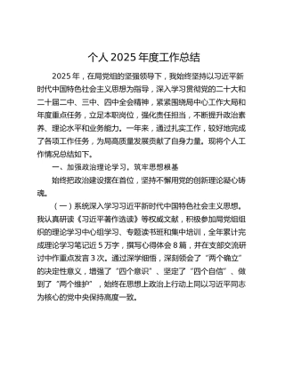 个人2025年度工作总结