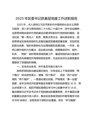 2025年区委书记抓基层党建工作述职报告