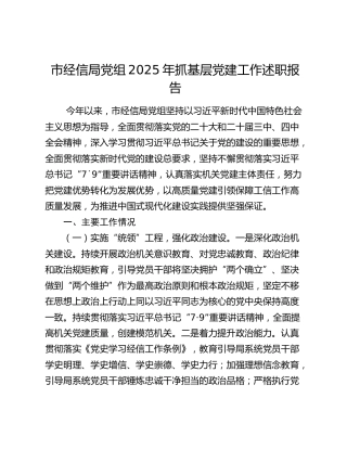 市经信局党组2025年抓基层党建工作述职报告