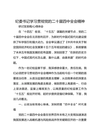 2025纪委书记学习贯彻党的二十届四中全会精神研讨发言稿心得体会