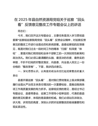在2025年县自然资源局党组关于巡察“回头看”反馈意见整改工作专题会议上的讲话