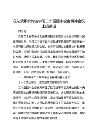 在法院系统传达学习二十届四中全会精神会议上的讲话
