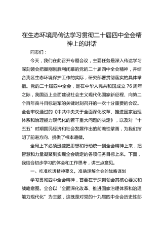 在生态环境局传达学习贯彻二十届四中全会精神上的讲话
