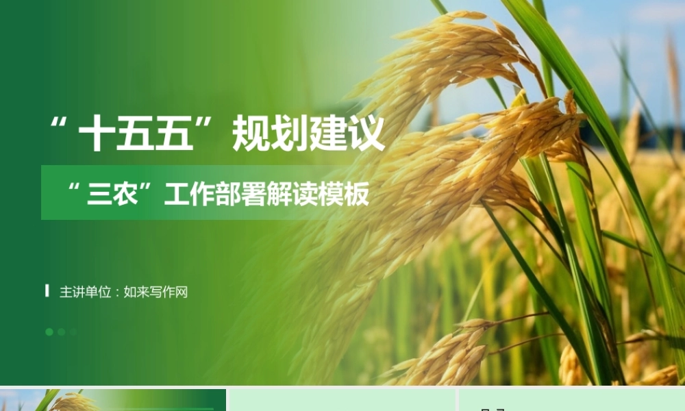 “十五五”规划建议三农工作部署解读模板PPT