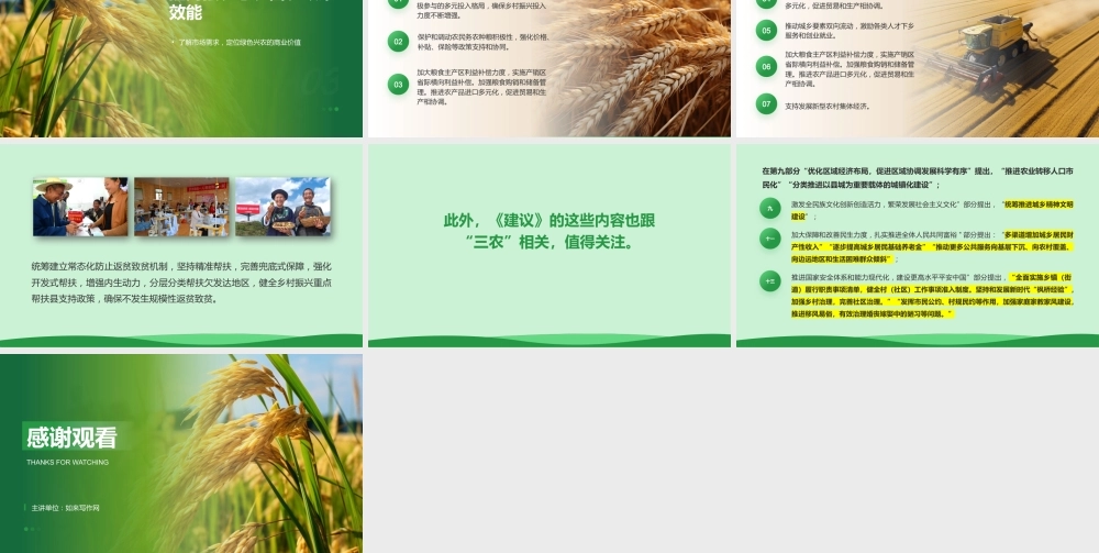 “十五五”规划建议三农工作部署解读模板PPT