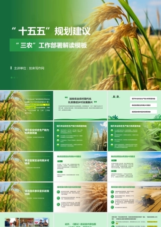 “十五五”规划建议三农工作部署解读模板PPT
