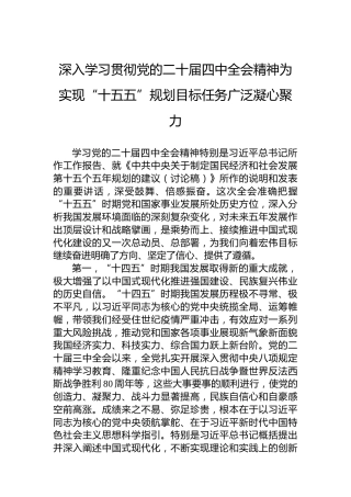 深入学习贯彻党的二十届四中全会精神为实现“十五五”规划目标任务广泛凝心聚力