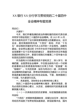 XX银行XX分行学习贯彻党的二十届四中全会精神专题党课