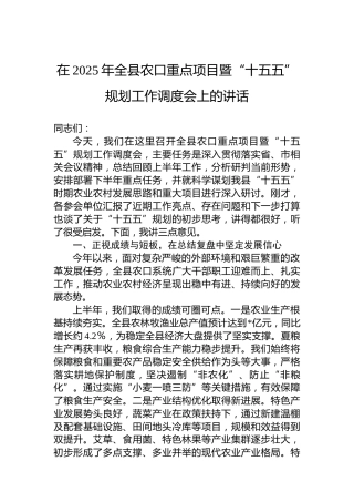 在2025年全县农口重点项目暨“十五五”规划工作调度会上的讲话
