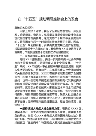 在“十五五”规划调研座谈会上的发言