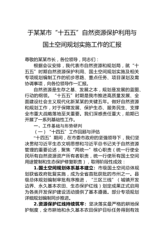 于某某市“十五五”自然资源保护利用与国土空间规划实施工作的汇报