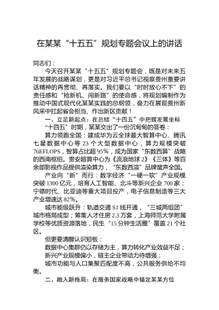 在某某“十五五”规划专题会议上的讲话