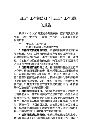 “十四五”工作总结和“十五五”工作谋划的报告
