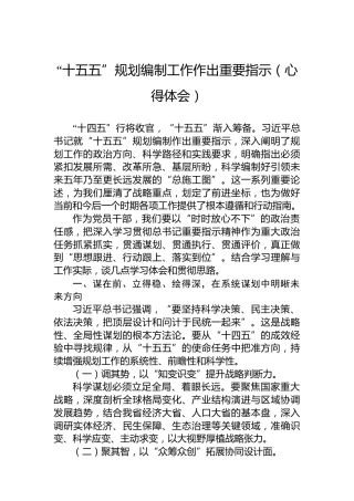 “十五五”规划编制工作作出重要指示（心得体会）
