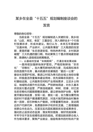 某乡在全县“十五五”规划编制座谈会的发言