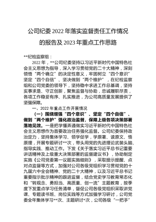 公司纪委2022年落实监督责任工作情况的报告及2023年重点工作思路