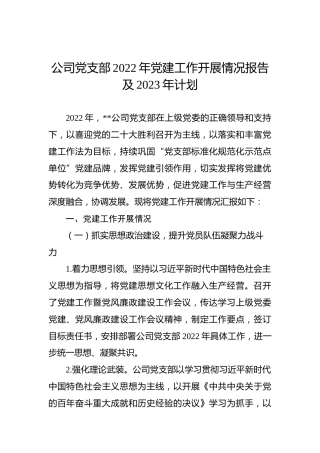 公司党支部2022年党建工作开展情况报告及2023年计划