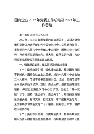 国有企业2022年党委工作总结及2023年工作思路