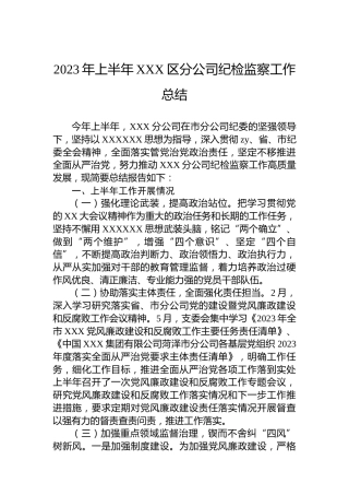 2023年上半年XXX区分公司纪检监察工作总结