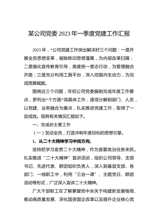 某公司党委2023年一季度党建工作汇报