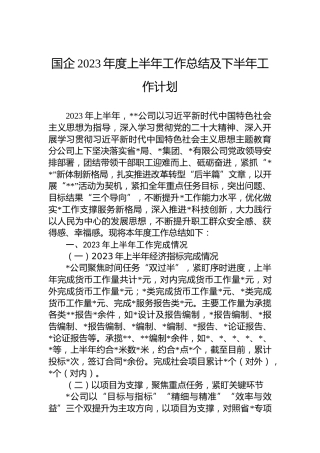 国企2023年度上半年工作总结及下半年工作计划