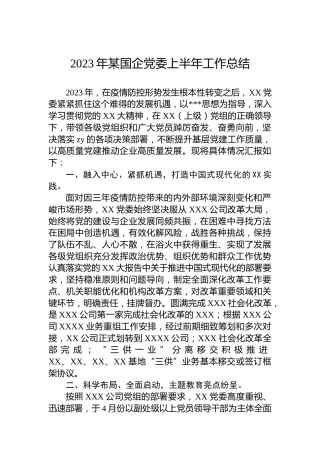 2023年某国企党委上半年工作总结