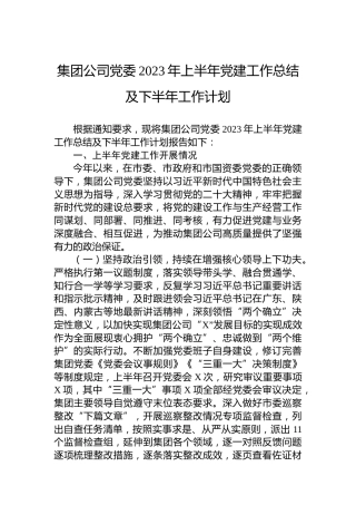 集团公司党委2023年上半年党建工作总结及下半年工作计划
