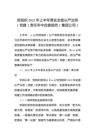 党组织2022年上半年落实全面从严治党（党建）责任年中自查报告（集团公司）