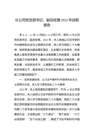 分公司党支部书记、副总经理2022年述职报告