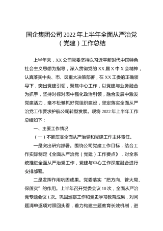 国企集团公司2022年上半年全面从严治党（党建）工作总结