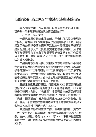 国企党委书记2022年度述职述廉述效报告