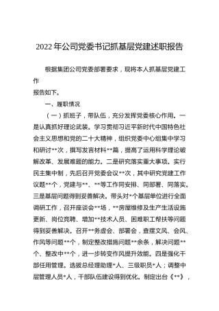 2022年公司党委书记抓基层党建述职报告