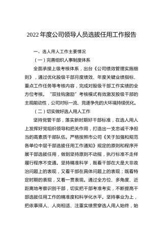 2022年度公司领导人员选拔任用工作报告