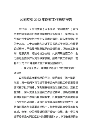 公司党委2022年巡察工作总结报告