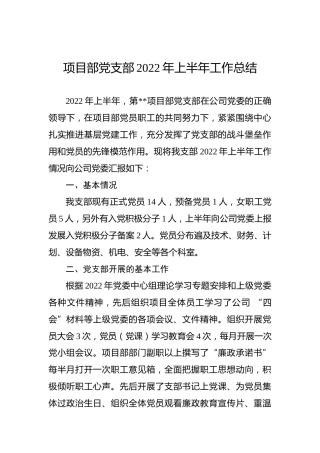 项目部党支部2022年上半年工作总结