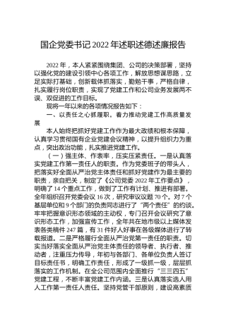 国企党委书记2022年述职述德述廉报告