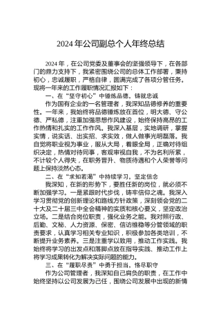2024年公司副总个人年终总结