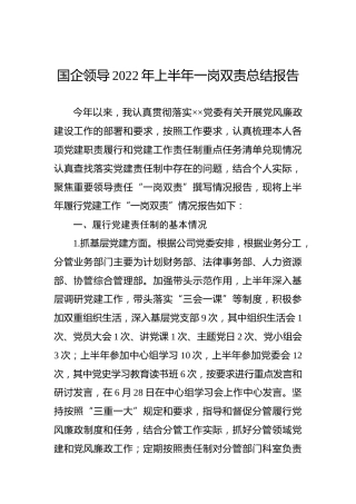 国企领导2022年上半年一岗双责总结报告